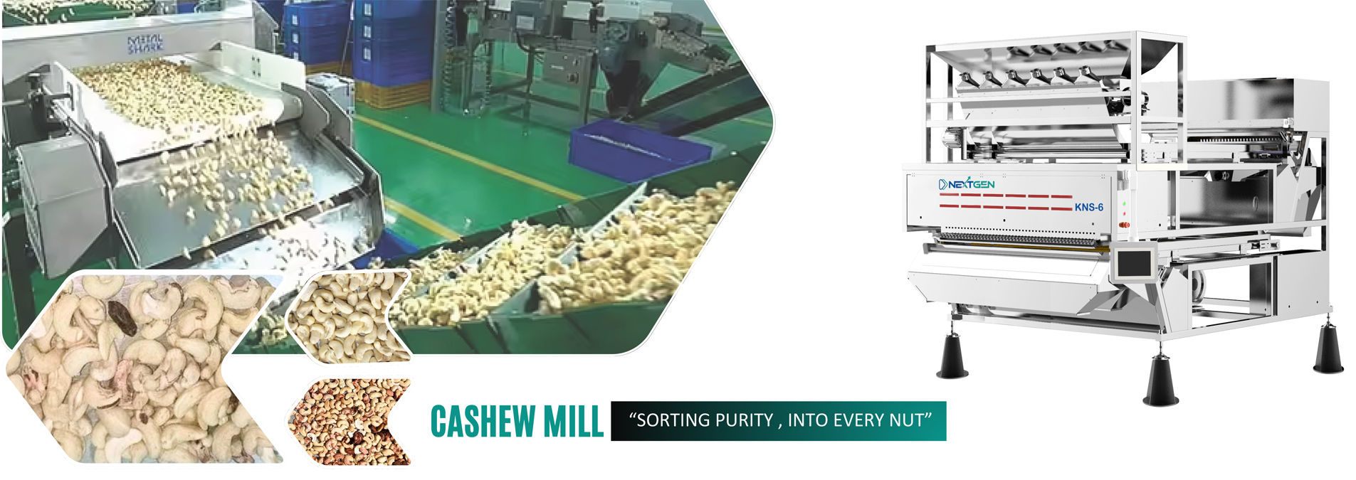 Nextgen Main home page image -4