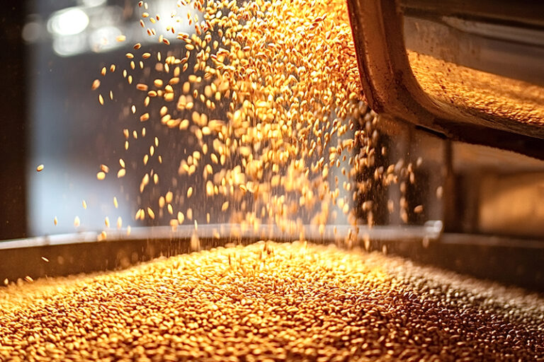 From Field to Table: How Sortex Machines Are Revolutionizing Grain Quality